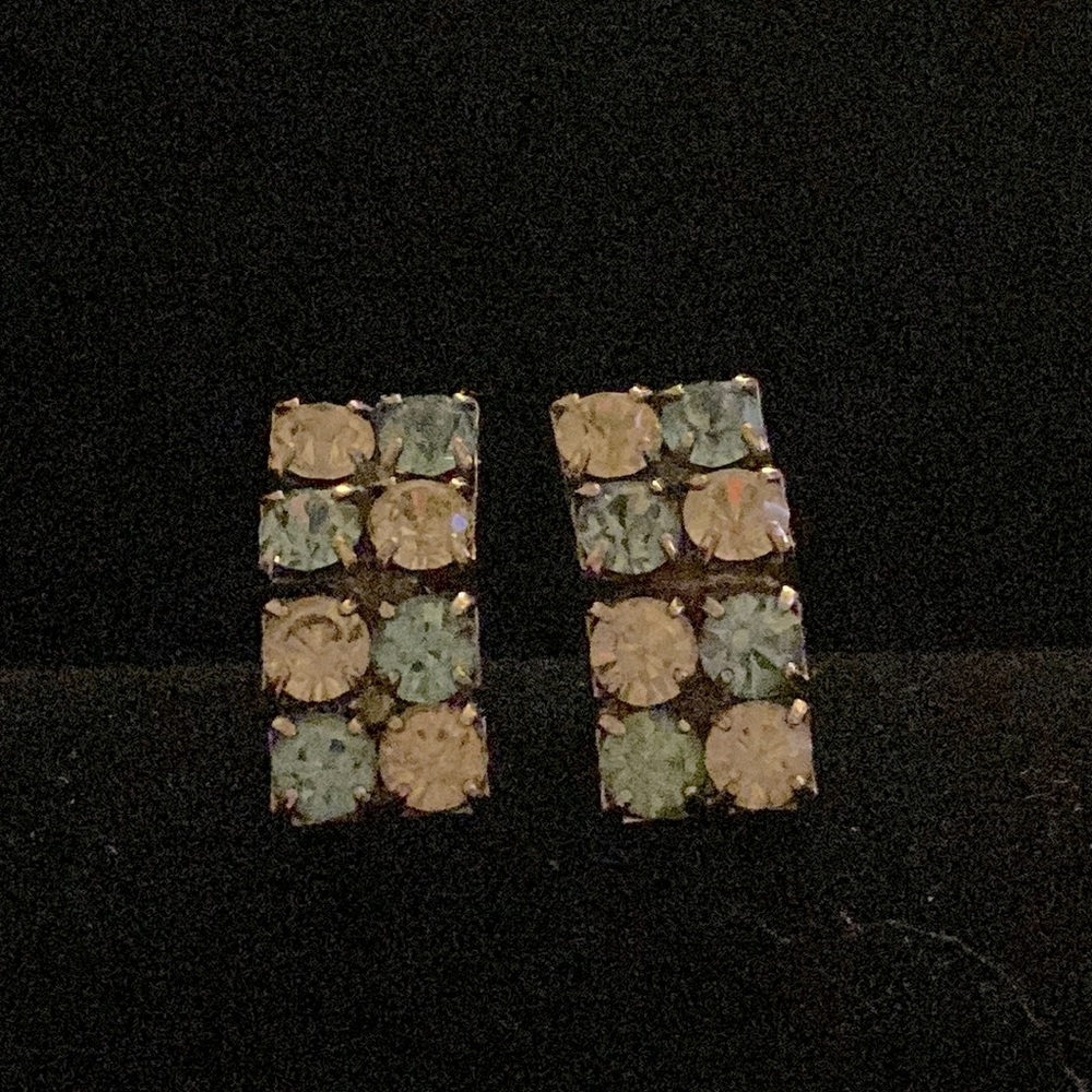 Blue and silver rhinestone earrings 💙